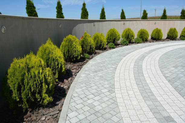 Best Brick Driveway Pavers  in Pinewood, FL